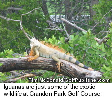 Crandon Park Golf Course - Wildlife