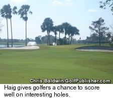 Haig at PGA National Resort - Greens Approach