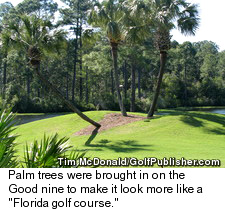 Hombre Golf Club - Palm Trees