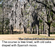 Jefferson Country Club - Moss