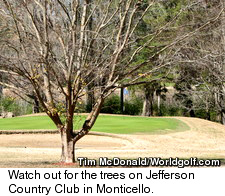 Jefferson Country Club - Trees