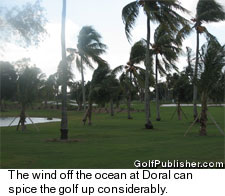 Miami - Blue Monster at Doral