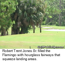 Flamingo Island Golf Course