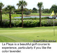 La Playa - Flowers