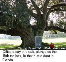 Ocala Golf Club - Oak Tree