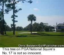 Squire at PGA National Resort - No. 17