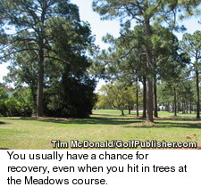 Bay Point Resort's Meadows Course - Tree Lined Fairways
