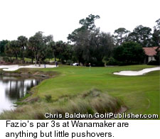 Wanamaker Course - Par 3